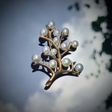 Pearl Studded Branch Brooch